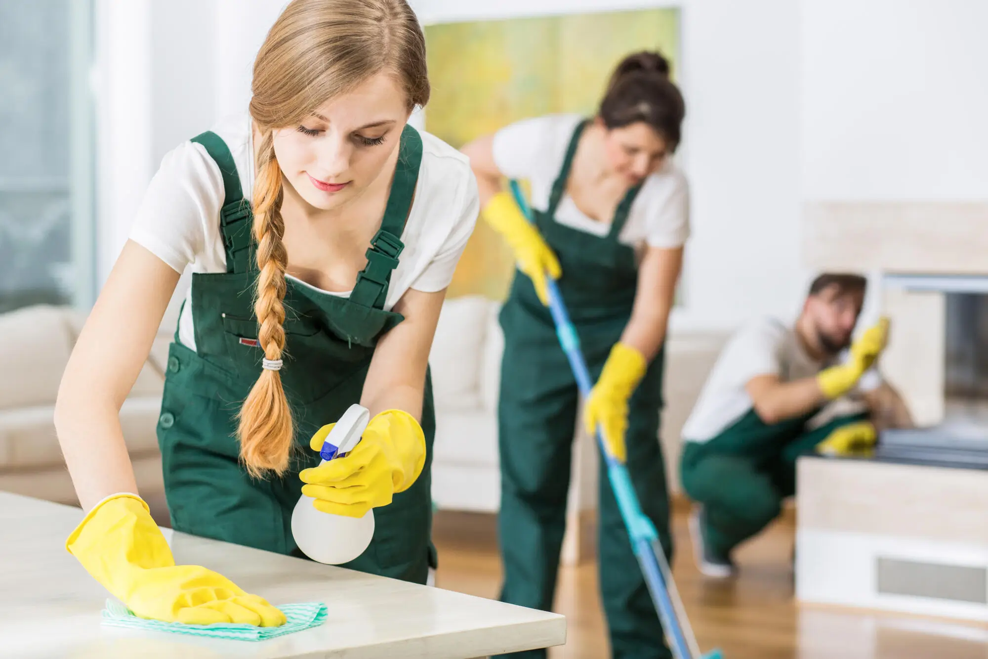 Eco-Friendly Cleaning Practices for Park City Vacation Homes: Sustainable Solutions